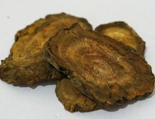 土大黄:清热解毒,止血,祛瘀,通便,杀虫.
