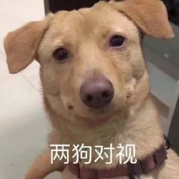 表情包:你这个人好奇怪哦