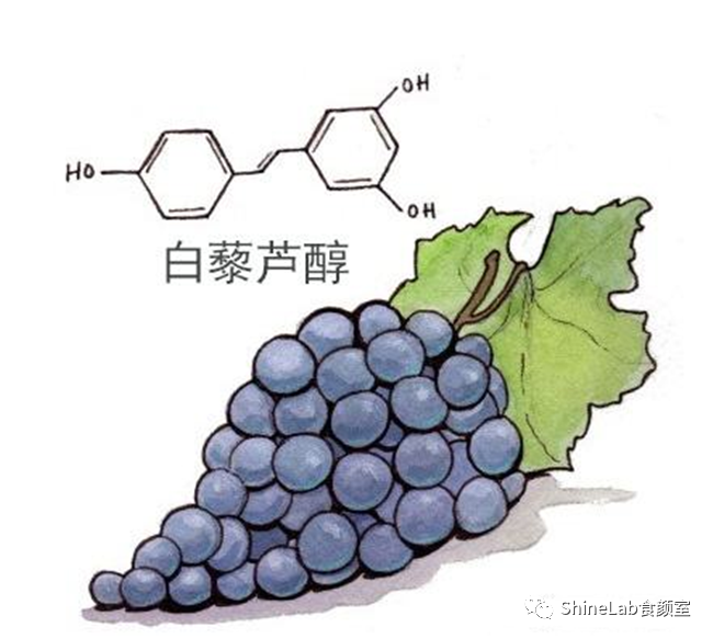 1976年,在葡萄的叶片也中发现了res(白藜芦醇,是植物体在逆境或遇到