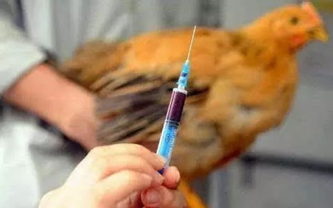 桂林发现一例人感染h5n6禽流感病例!这个提醒一定要看!