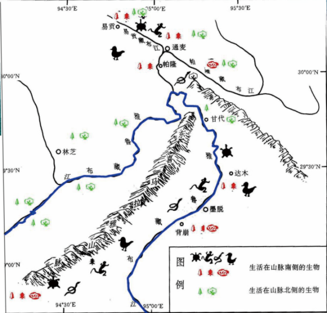 1982-1984年,中国科学院南迦巴瓦峰科学考察队曾经观测发现了雅鲁藏布