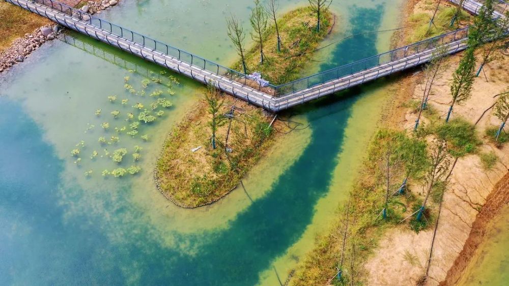 西太湖湿地公园正式建成,实景美出圈!