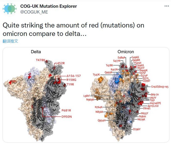 德尔塔毒株和奥密克戎的突变.图片来源:twitter