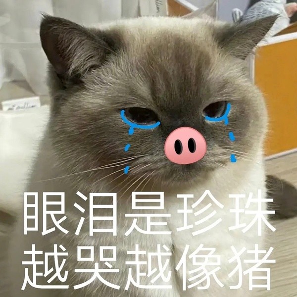 猫猫头表情包