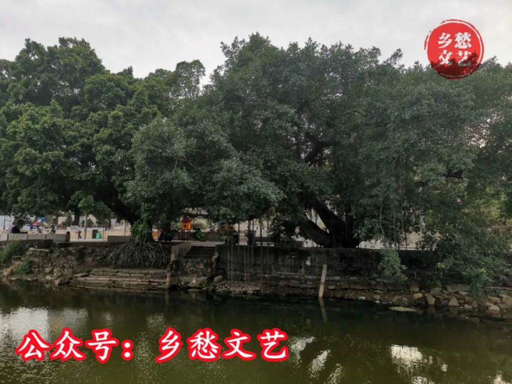 拍摄地:青溪村拍摄地:涵头陈厝拍摄地:涵头王厝拍摄地:下潮郭村拍摄地