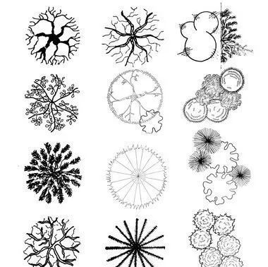 风景园林手绘中的植物平面图素材