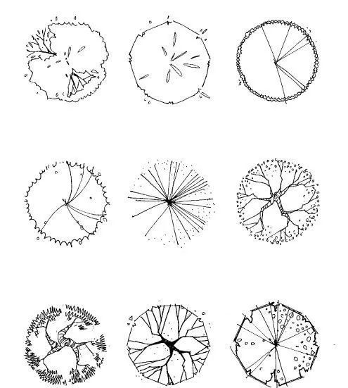 风景园林手绘中的植物平面图素材