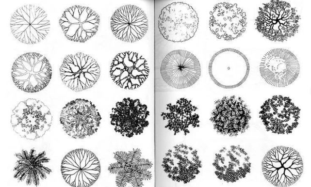 风景园林手绘中的植物平面图素材