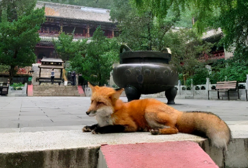 天富官方入口|天富测速|御春风农产