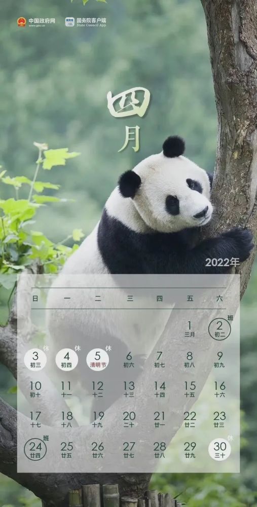 2022是个什么年【壁纸】