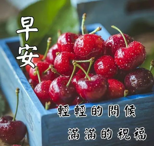 微信早上好祝福语图片最新版:愿你开心快乐,幸福如意