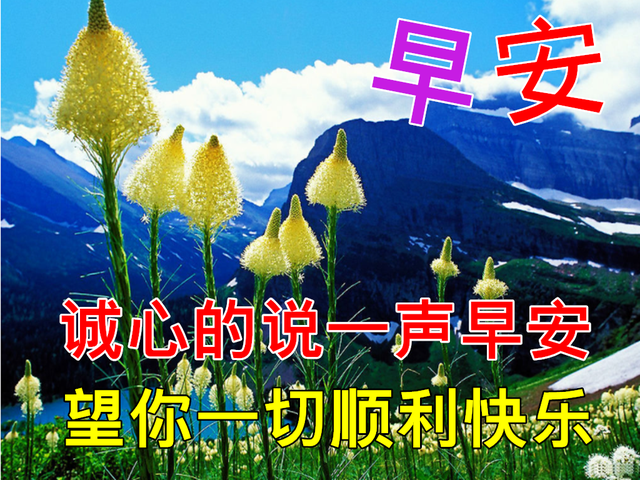 清晨早上问候语及关心话配图愿你在每一个日子里都快乐如意