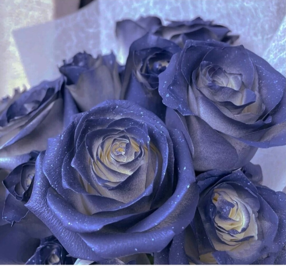 蓝玫瑰头像:盛开的不是花,是对你漫山遍野的喜欢