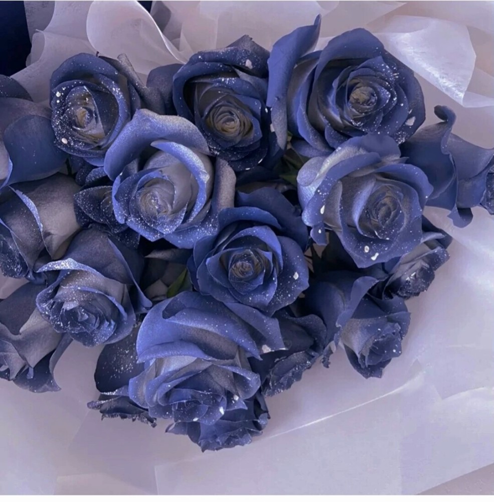 蓝玫瑰头像:盛开的不是花,是对你漫山遍野的喜欢