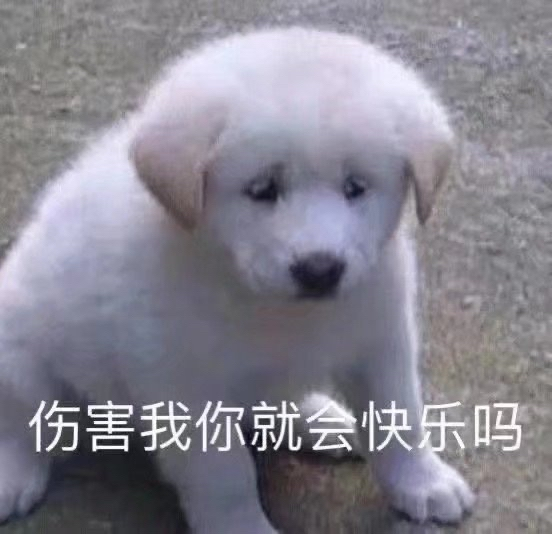 单身汪的倔强|表情包