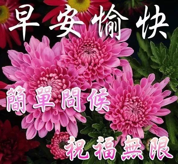 朋友,无论闲忙,我都会默默祝福你快乐每一天,早晨好!