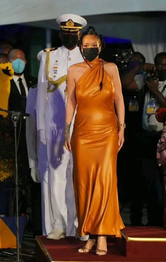 蕾哈娜rihanna|巴巴多斯民族英雄