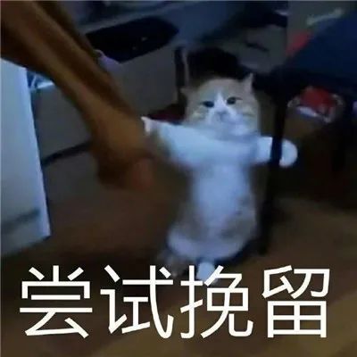 最新热门的尝试挽留表情包,热门又很俏皮的表情