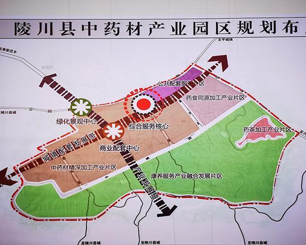 聚焦新晋城|陵川中药材产业园区见闻