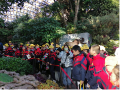 晋祠小学参观植物园研学活动简报