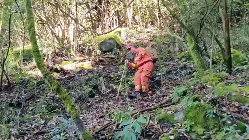 哀牢山四名地质队员遇难,装备齐全的他们,因何殒命?