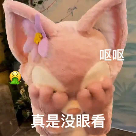 女明星玲娜贝儿表情包