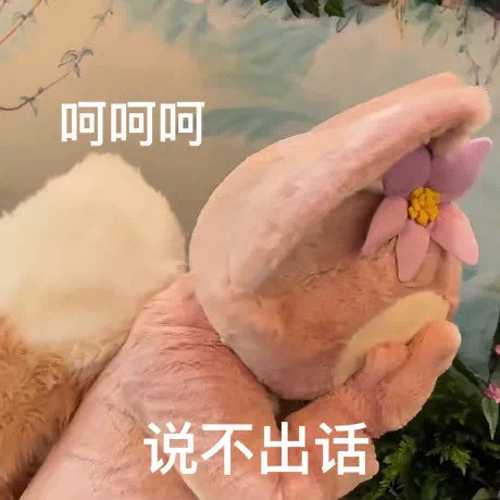 女明星玲娜贝儿表情包