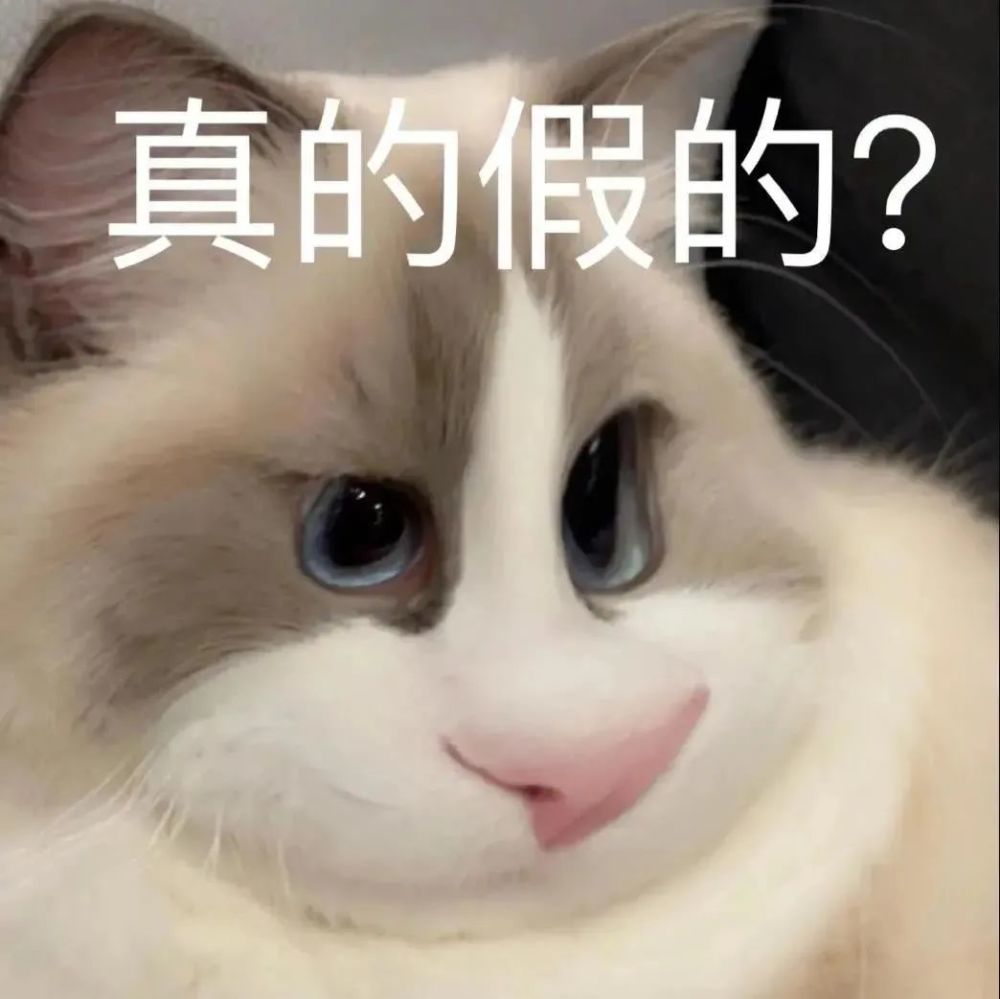 表情包达咩