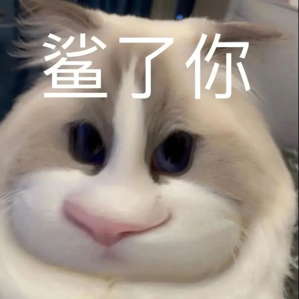 表情包达咩