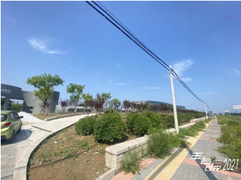 大灰厂路,长兴路,辛庄南路等丰台33块绿地,8条道路,7条河流全面升级