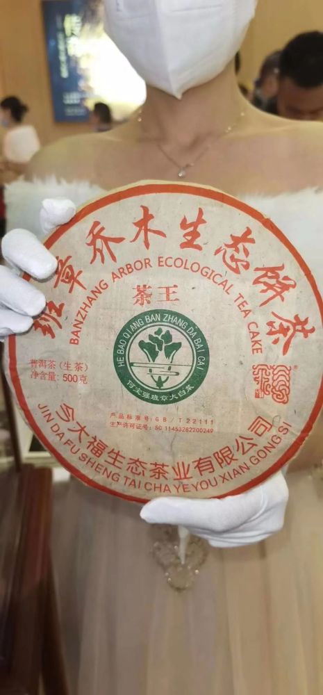 2021年今大福班章乔木生态饼茶茶王上市