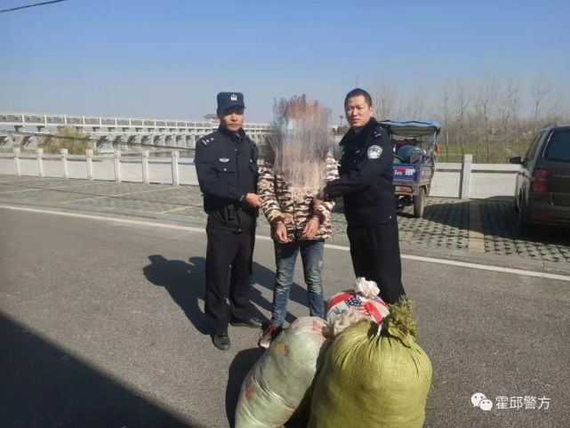 1人被抓@霍邱县人民法院悬赏公告!