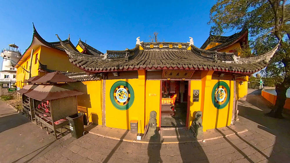 上海最高古银杏,就在青浦淀山湖畔,航标灯塔般的报国寺千年银杏