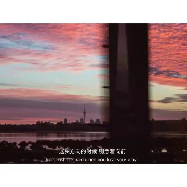 文案|隐晦表达自己不碰爱情的文案