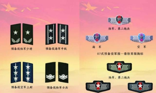 预备役军衔肩章,臂章,胸标,军徽等,主色调多为灰白色.