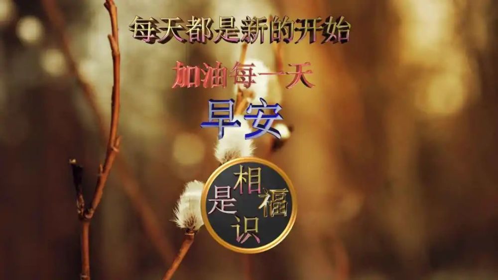 爱情像月亮 ,有十五的圆满,也有初一的残缺.