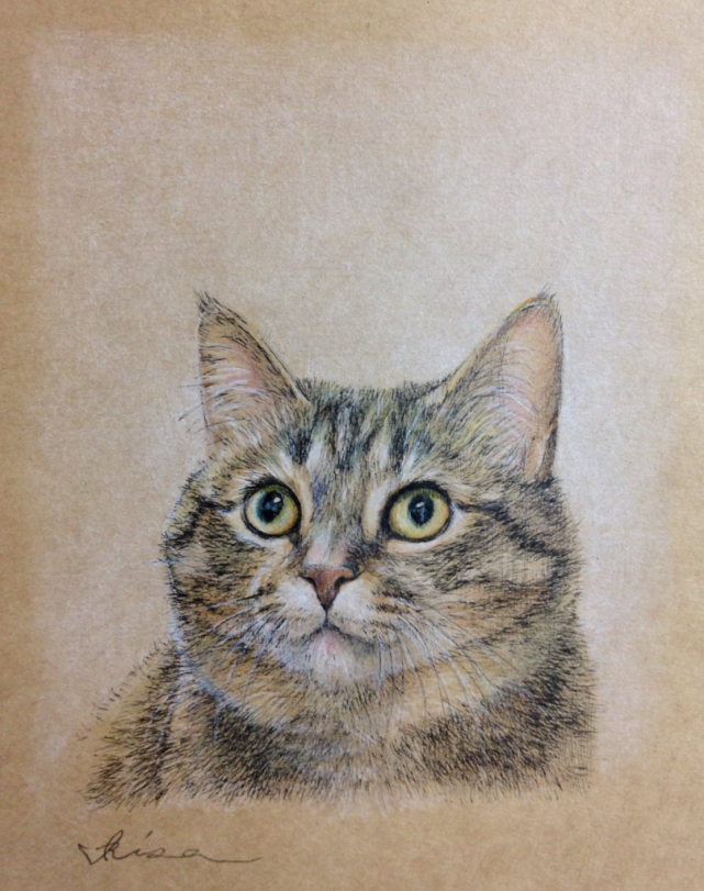 动物插画,日本艺术家 伊势田理沙的彩铅猫咪