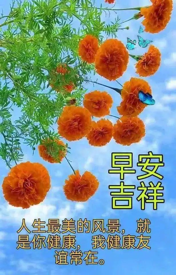 一分心情一句问候一片温馨一颗真心早安愿好运常伴