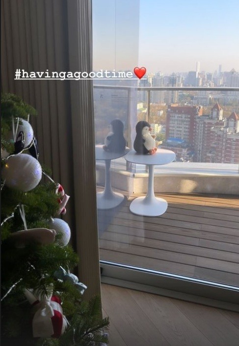 奚梦瑶回到上海家中,晒豪宅阳光风景照,屋内已摆好