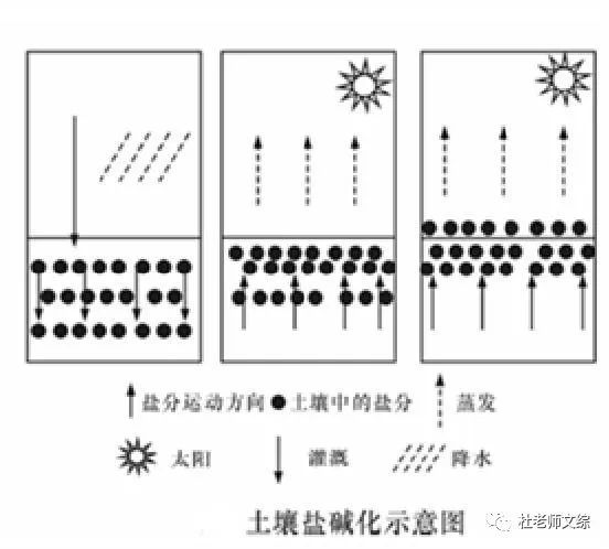 [图解图示]土地盐碱化的成因◎土地盐碱化的原因及治理措施不合理灌溉