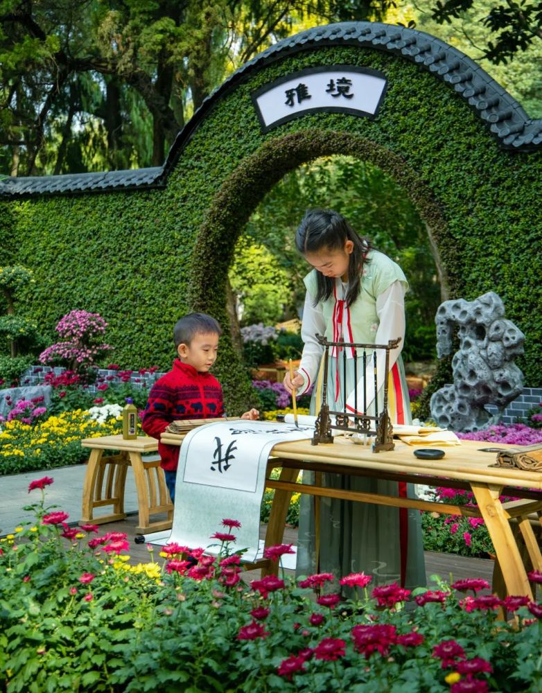 2021嘉定第十七届菊花展摄影征稿评选结果揭晓有你心动的吗