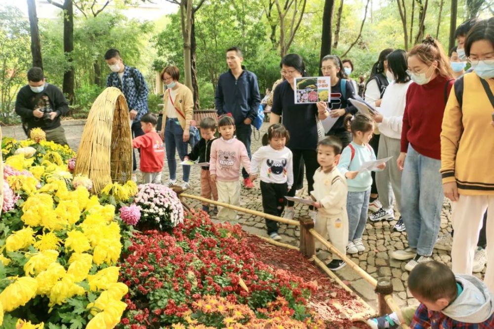 2021嘉定第十七届菊花展摄影征稿评选结果揭晓有你心动的吗