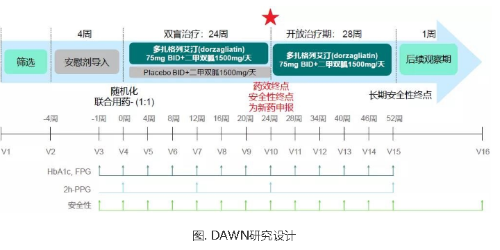 dawn研究揭示:多格列艾汀联合二甲双胍降糖疗效显著