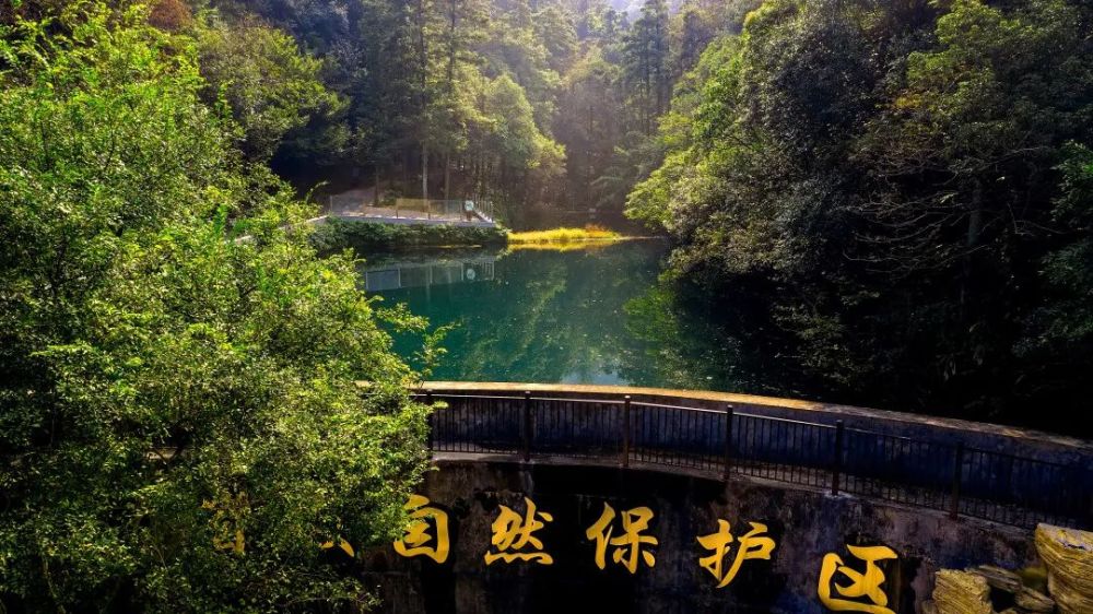 宜兴国家森林公园