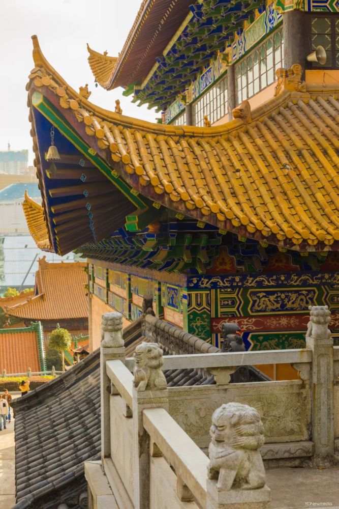 武汉最后的秋色停在了宝通寺