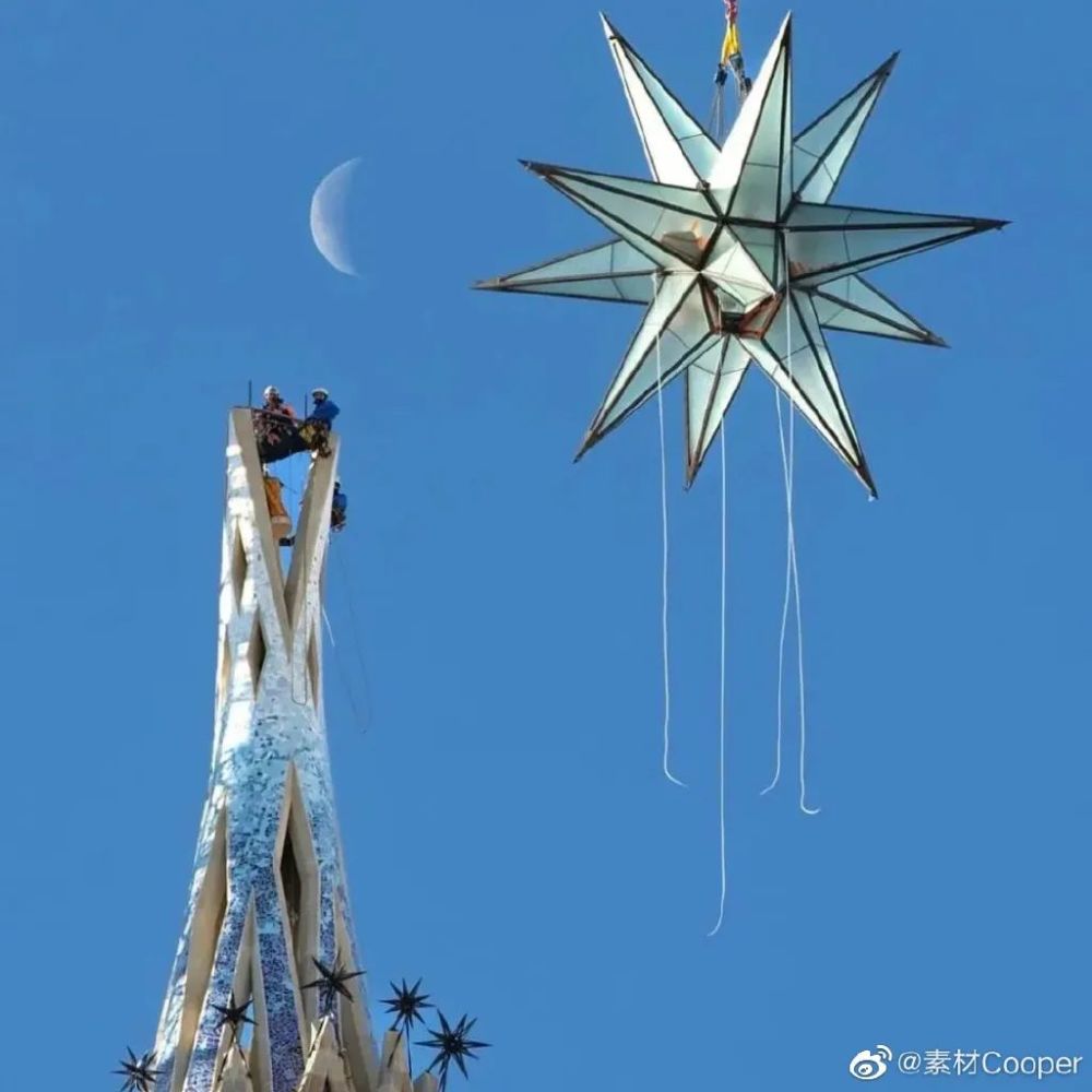 草木岁时记｜圣家族大教堂和八角金盘