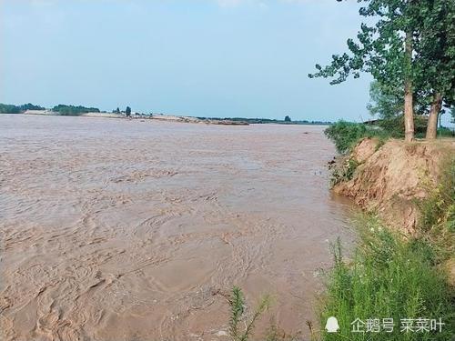 黄河秘密蛟龙事件.这起事件发生在全面抗战时期,与蒋介石有关.