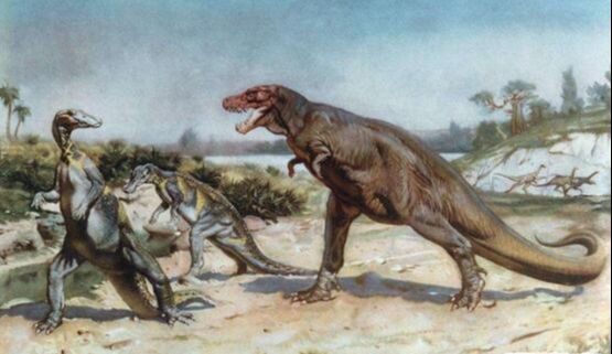 刚果开赛暴龙是真的吗,地球上最后的恐龙