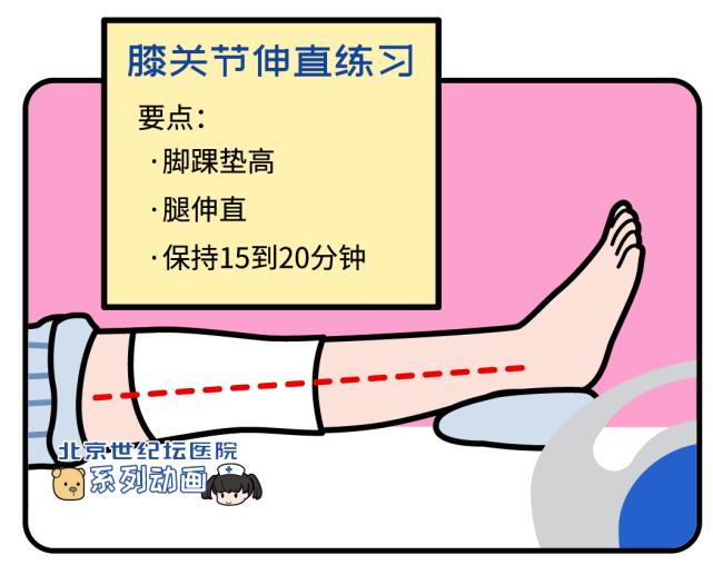 等长收缩练习·平躺·抬腿至2拳高·保持10秒股四头肌等张收缩练习