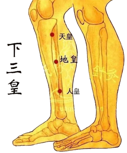 【失眠】特效针灸治疗方法!看完7次内轻松搞定顽固性失眠!